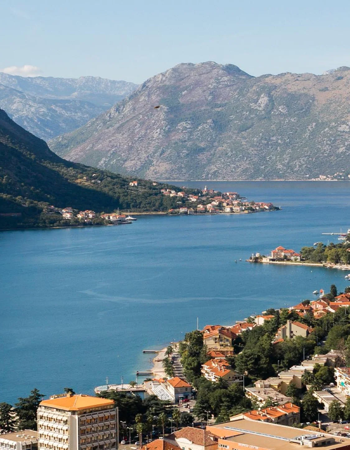 MNE.jpg.image.1125.1446.low